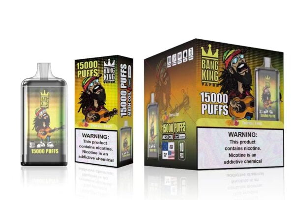 Bang King 15000 Puffs 0% 2% 3% 5% Nicotine Rechargeable Disposable Vape Wholesale - ChaseVape - 17