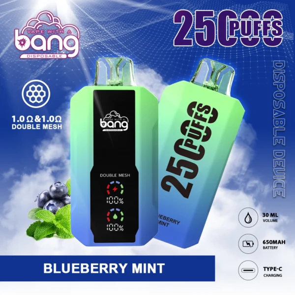 Bang 25000 Puffs 0% 2% 3% 5% Nikotinarm, wiederaufladbar, Einweg-Vapes, Pen, Großpackung, Großhandel kaufen – ChaseVape – 11