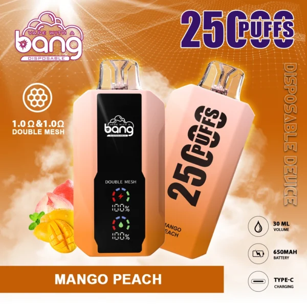 Bang 25000 Puffs 0% 2% 3% 5% Nikotinarm, wiederaufladbar, Einweg-Vapes, Pen, Großpackung, Großhandel kaufen – ChaseVape – 2