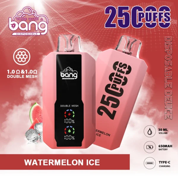 Bang 25000 Puffs 0% 2% 3% 5% Nikotinarm, wiederaufladbar, Einweg-Vapes, Pen, Großpackung, Kauf im Großhandel – ChaseVape – 5