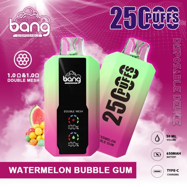 Bang 25000 Puffs 0% 2% 3% 5% Nikotinarm, wiederaufladbar, Einweg-Vapes, Pen, Großpackung, Kauf im Großhandel – ChaseVape – 6