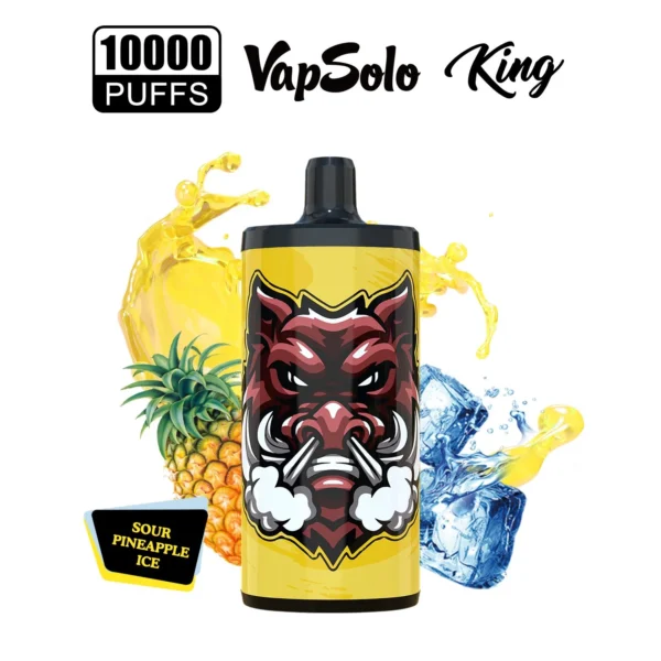 Vapsolo King 10000 Puffs 2% 5% Low Nicotine Rechargeable Disposable Vapes Pen Bulk Buy Wholesale - ChaseVape - 15