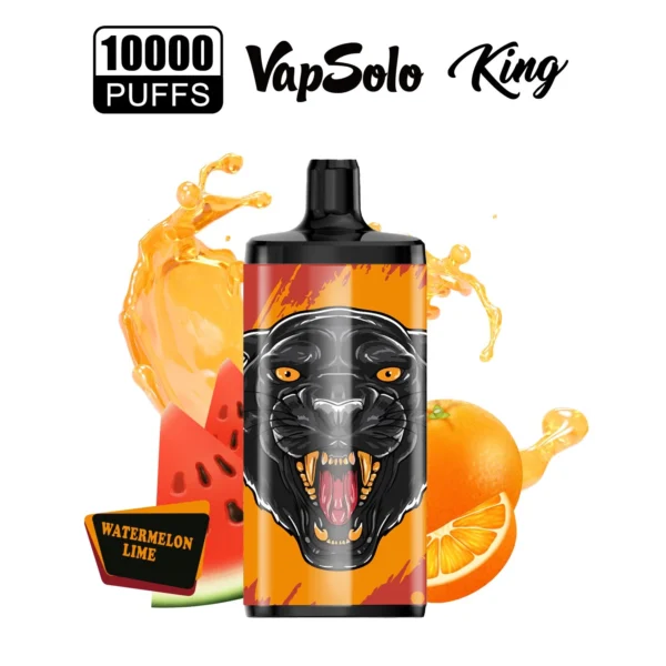 Vapsolo King 10000 Puffs 2% 5% Low Nicotine Rechargeable Disposable Vapes Pen Bulk Buy Wholesale - ChaseVape - 18