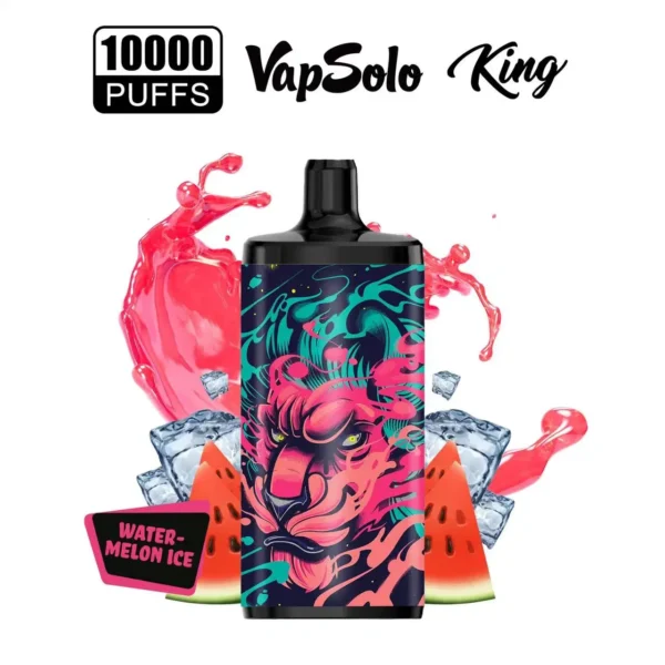 Vapsolo King 10000 Puffs 2% 5% Low Nicotine Rechargeable Disposable Vapes Pen Bulk Buy Wholesale - ChaseVape - 19