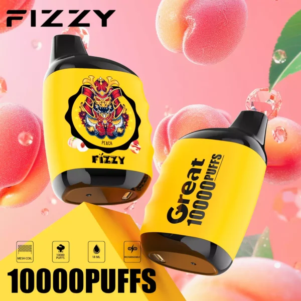 Fizzy Great 10000 Puffs 2% 5% Low Nicotine Rechargeable Disposable Vapes Pen Bulk Buy Wholesale - ChaseVape - 6